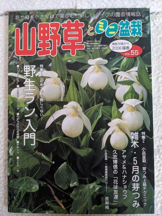 Wildflowers and Miniature Potted Plants, Spring 2006 Issue