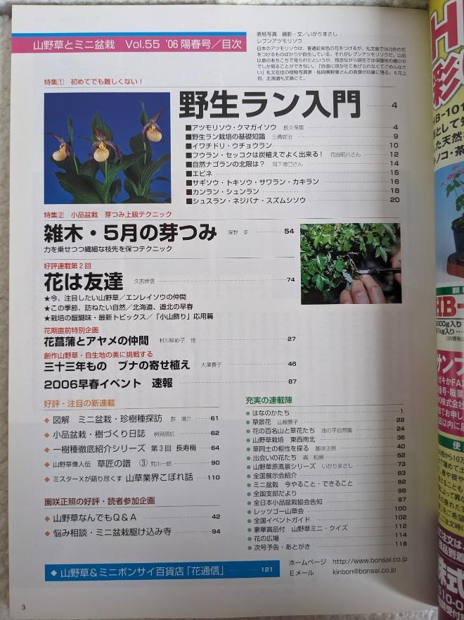 Wildflowers and Miniature Potted Plants, Spring 2006 Issue