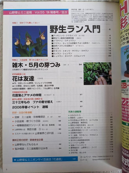 Wildflowers and Miniature Potted Plants, Spring 2006 Issue