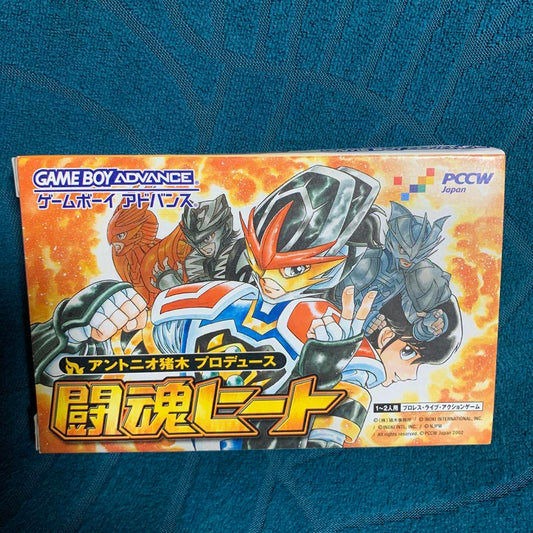Spirit of Fighting Heat