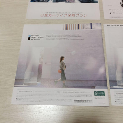 Nissan Sakura Catalog Options Set