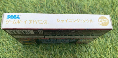 SHINIGSOUL(SHINY SOUL)