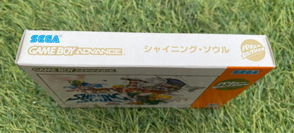 SHINIGSOUL(SHINY SOUL)