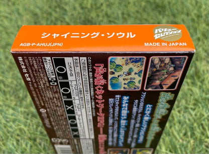 SHINIGSOUL(SHINY SOUL)