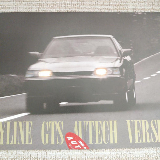 R31 Skyline Overtake Version Catalog
