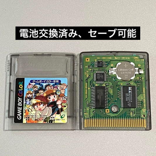 Magical Diary Grugruber Battery Socketed