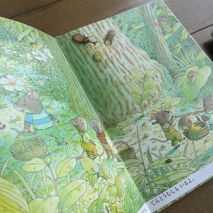 14-Person Rice Porridge Cleaning Moving 3-Book Set Kazuo Iwamura