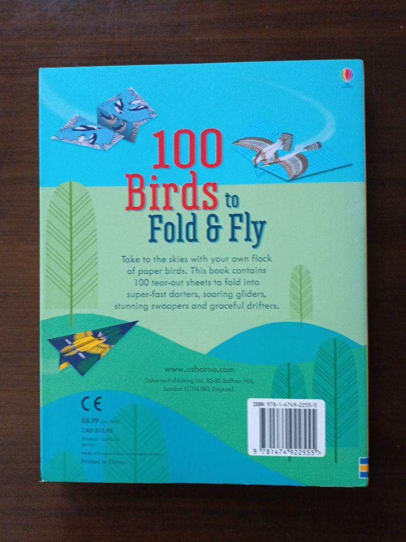 100 Birds to Fold & Fly Paper Airplanes