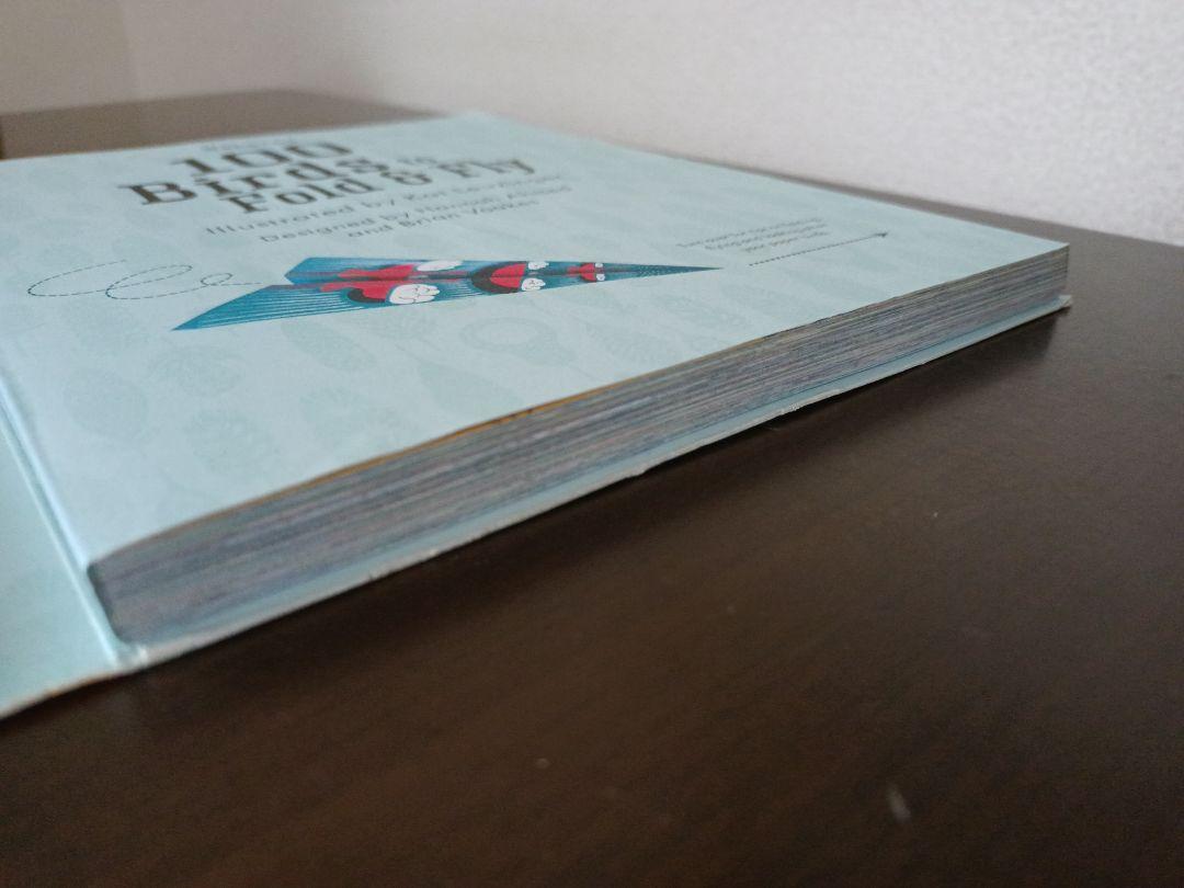 100 Birds to Fold & Fly Paper Airplanes