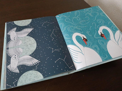 100 Birds to Fold & Fly Paper Airplanes