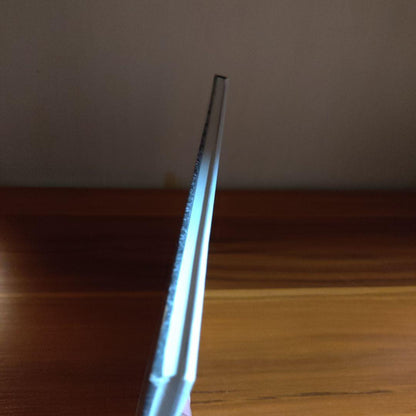 Panther on the Battlefield - Photobook