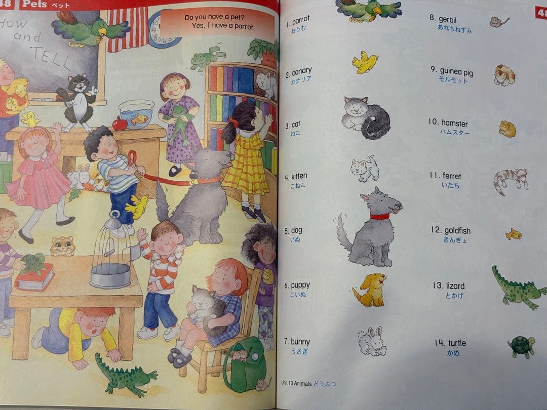 LET'S GO Picture Dictionary