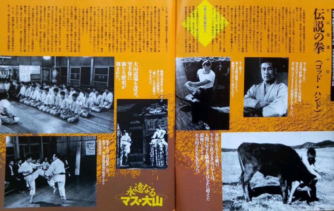 Martial Arts "K Magazine" The Eternal Masuda-yama