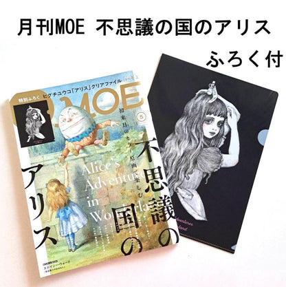 Monthly Moe Wonderland of Alice Special 2024 May Issue Higuchi Yūko ②