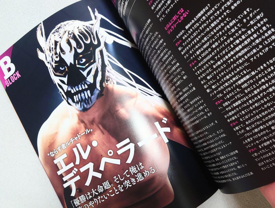 New NJPW Official Magazine Best of Super Jr. 30 Pamphlet