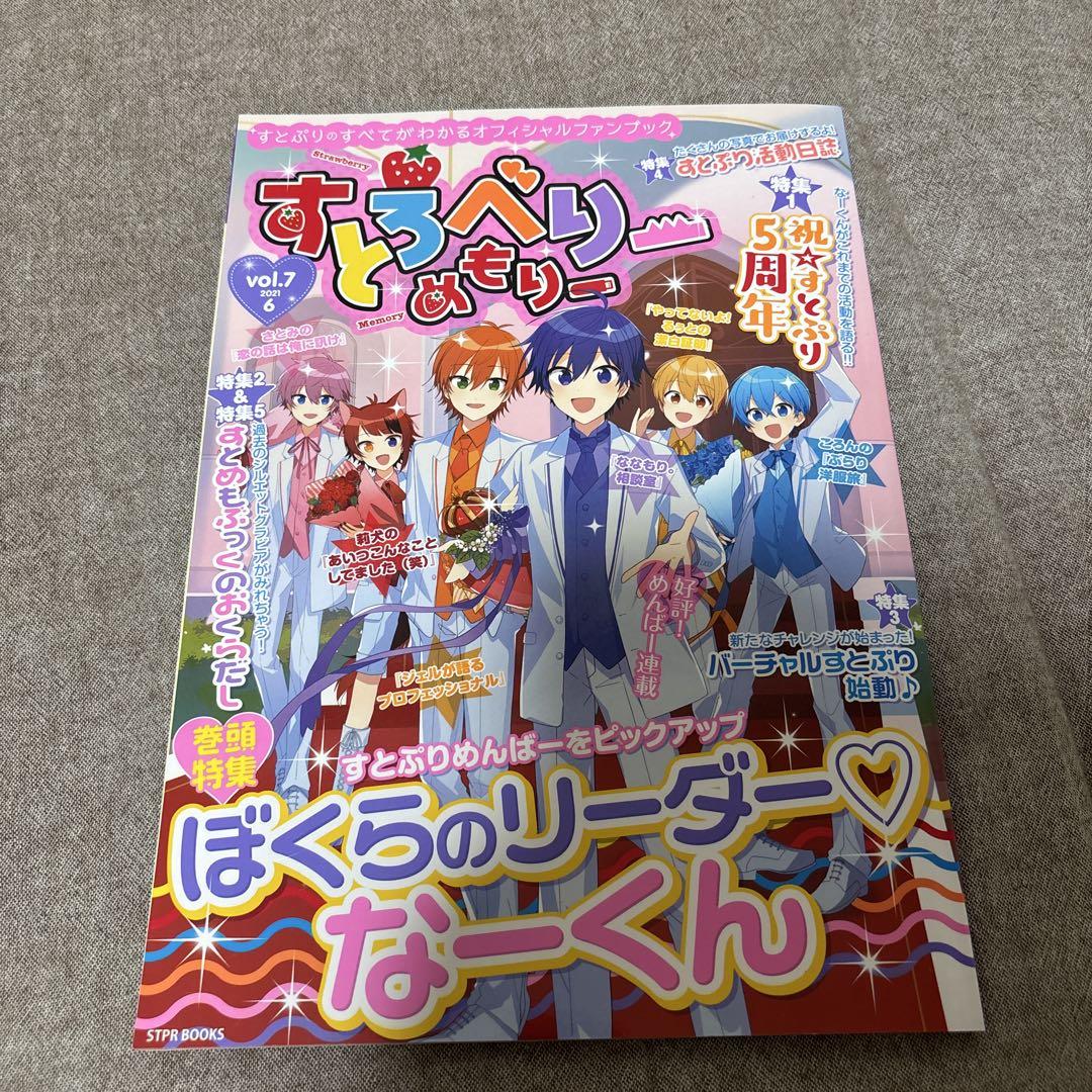 Stroberger Memoir vol.7