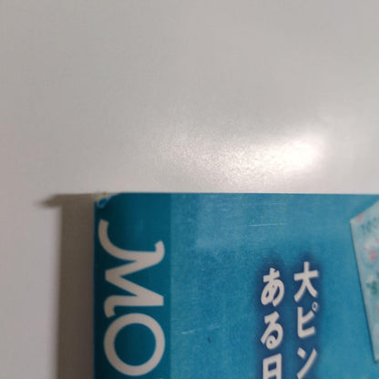 Moe 2023 Special Gift Higuchi Yūko Calendar