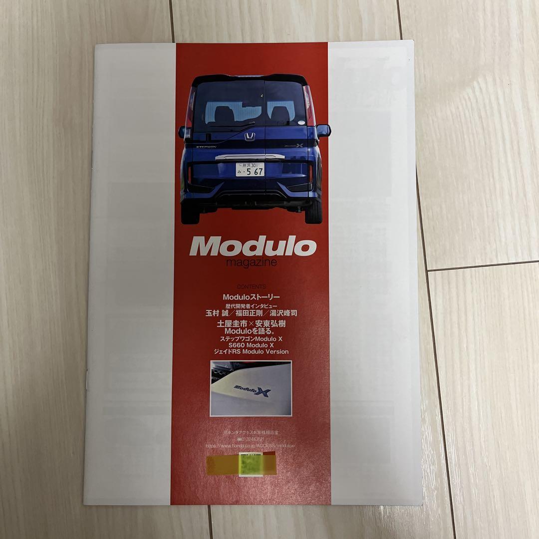 Modulo magazine