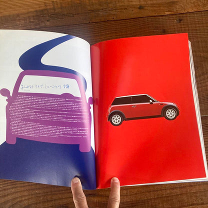 MINI STYLLE Supplement CG