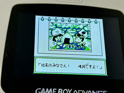 SUPER Peach Boy Railroad Game Boy Software Operation Confirmed! Photos Available!