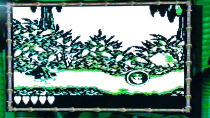 Anonymous Shipping Super Donkey Kong GB Game Boy Software