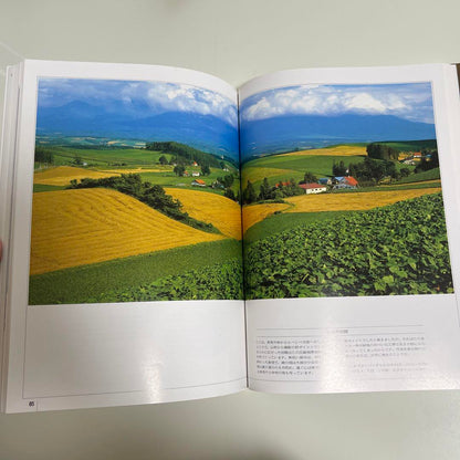 Masaemon Maeda Collection Complete Edition Volume 177