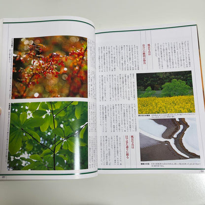 Masaemon Maeda Collection Complete Edition Volume 177