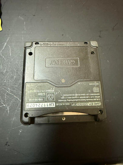 Nintendo Game Boy Advance SP Pokémon Case Software