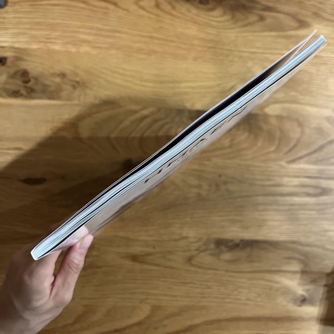 Mid-term Chick Club 2024 Summer Issue Magazine + Fabric Picture Book