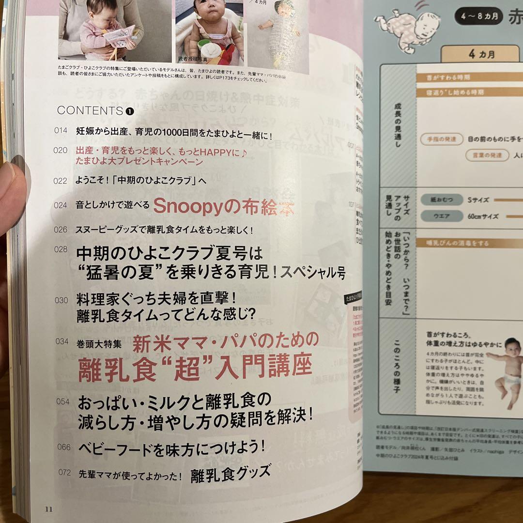 Mid-term Chick Club 2024 Summer Issue Magazine + Fabric Picture Book