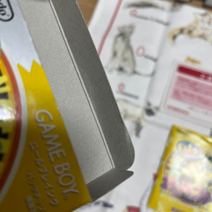 Nintendo Game Boy Pocket Monsters Pikachu