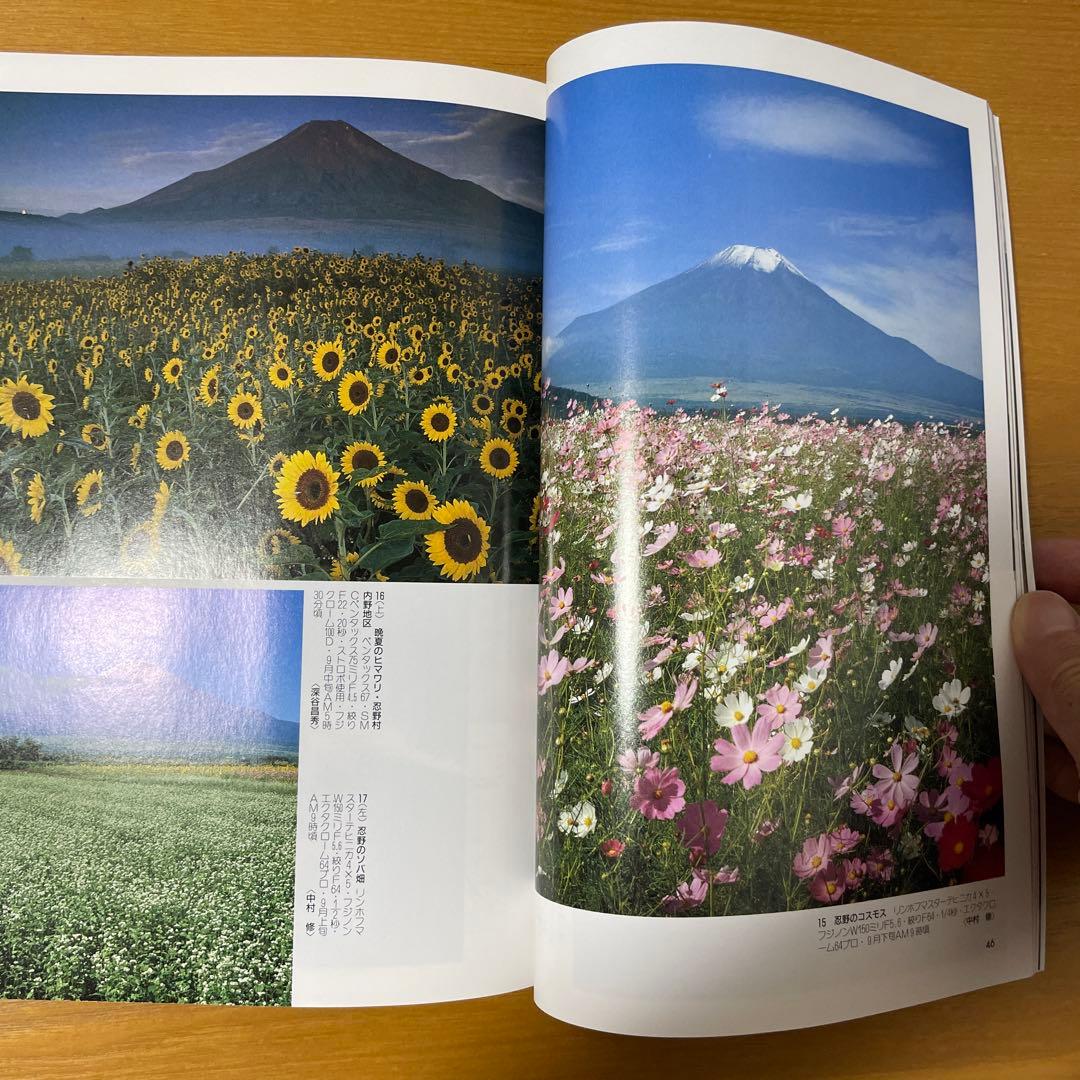 Capturing Fuji, a Japanese Camera Series