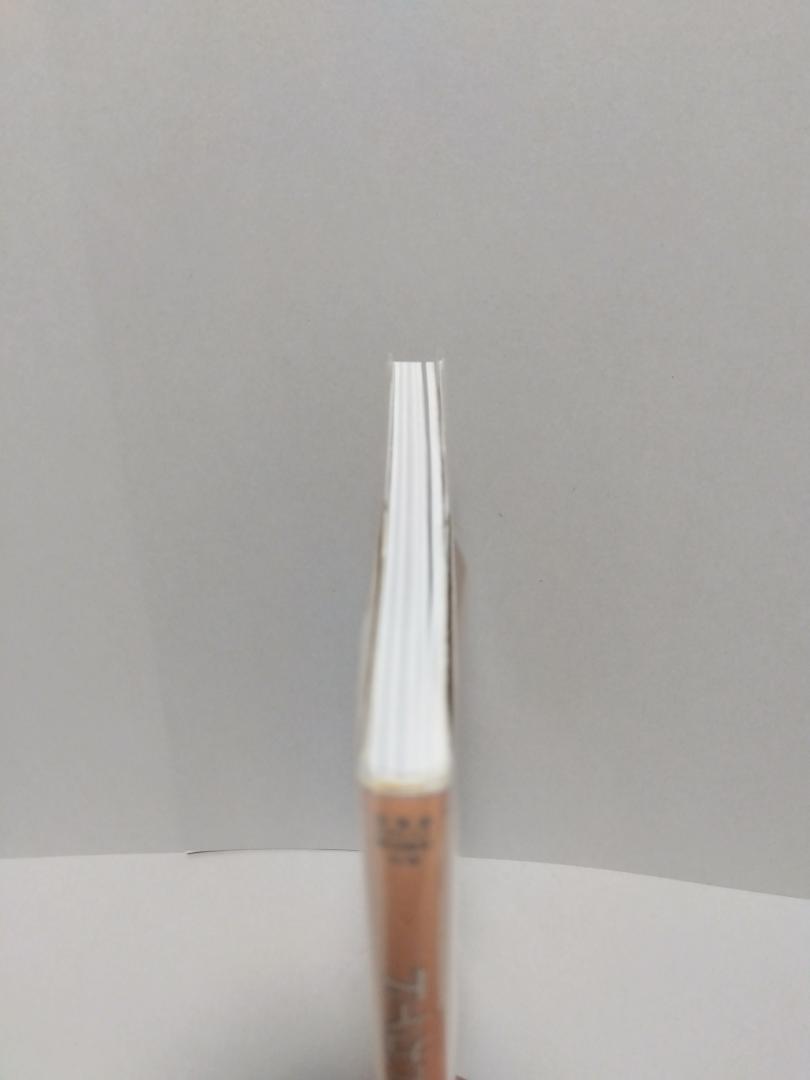 Portable Game Console Complete Guide Nintendo