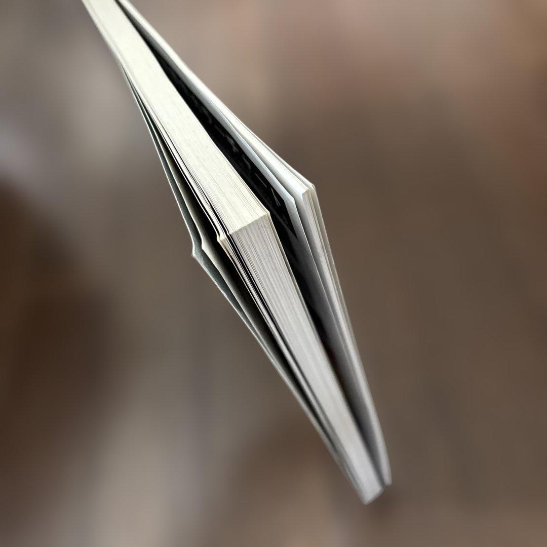 P-51 Mustang Model Art January Special Issue No.401