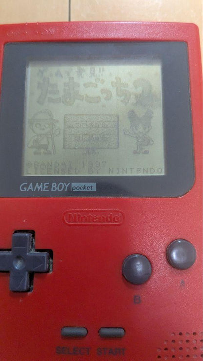 Tamagotchi 2