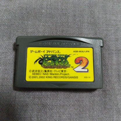 Action confirmation completed Sherman King Ultimate Divination Decree 2 GBA Game Boy Advance