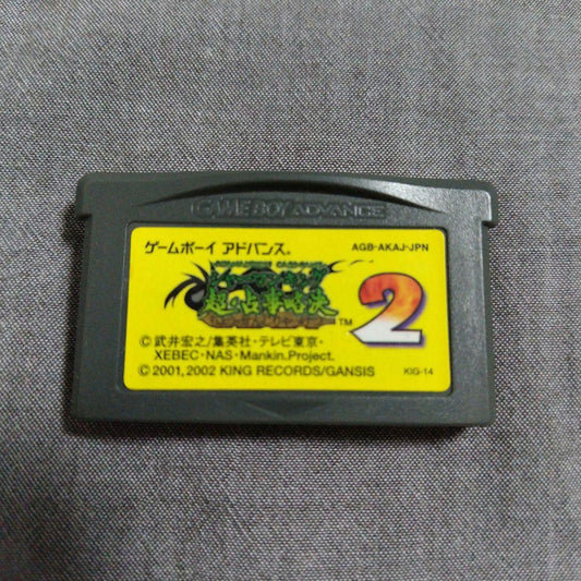 Action confirmation completed Sherman King Ultimate Divination Decree 2 GBA Game Boy Advance