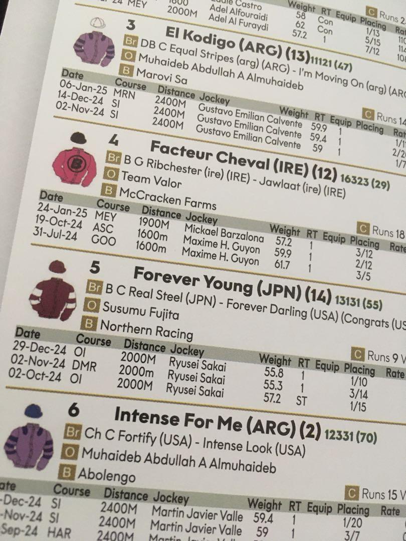 2025 Saudi Cup Racing Program