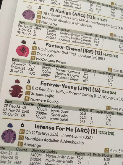 2025 Saudi Cup Racing Program