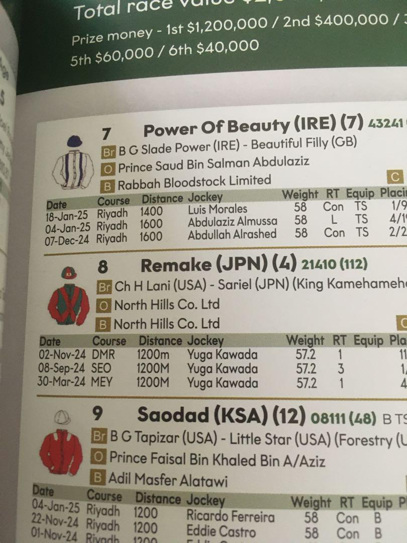 2025 Saudi Cup Racing Program