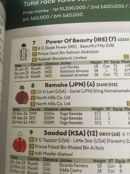 2025 Saudi Cup Racing Program