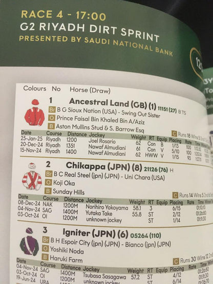 2025 Saudi Cup Racing Program