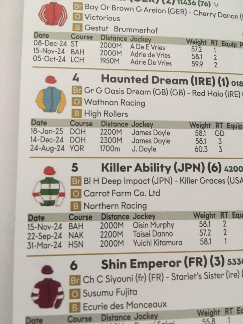 2025 Saudi Cup Racing Program