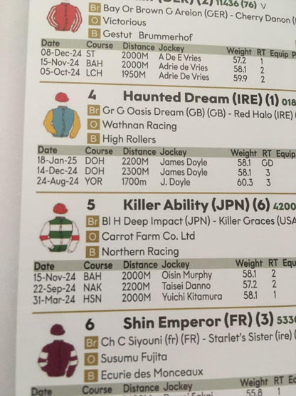 2025 Saudi Cup Racing Program