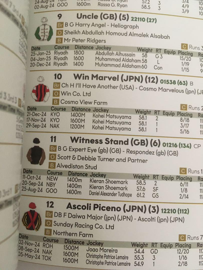 2025 Saudi Cup Racing Program