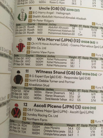 2025 Saudi Cup Racing Program