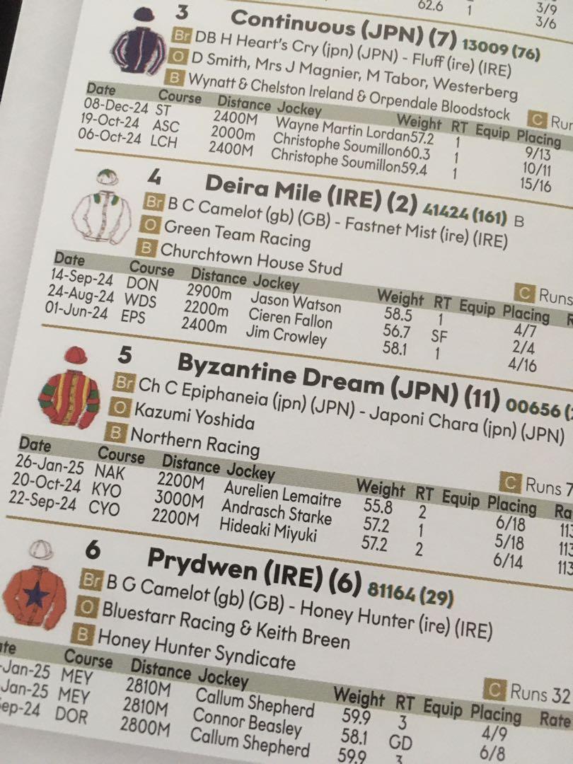 2025 Saudi Cup Racing Program