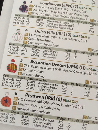 2025 Saudi Cup Racing Program