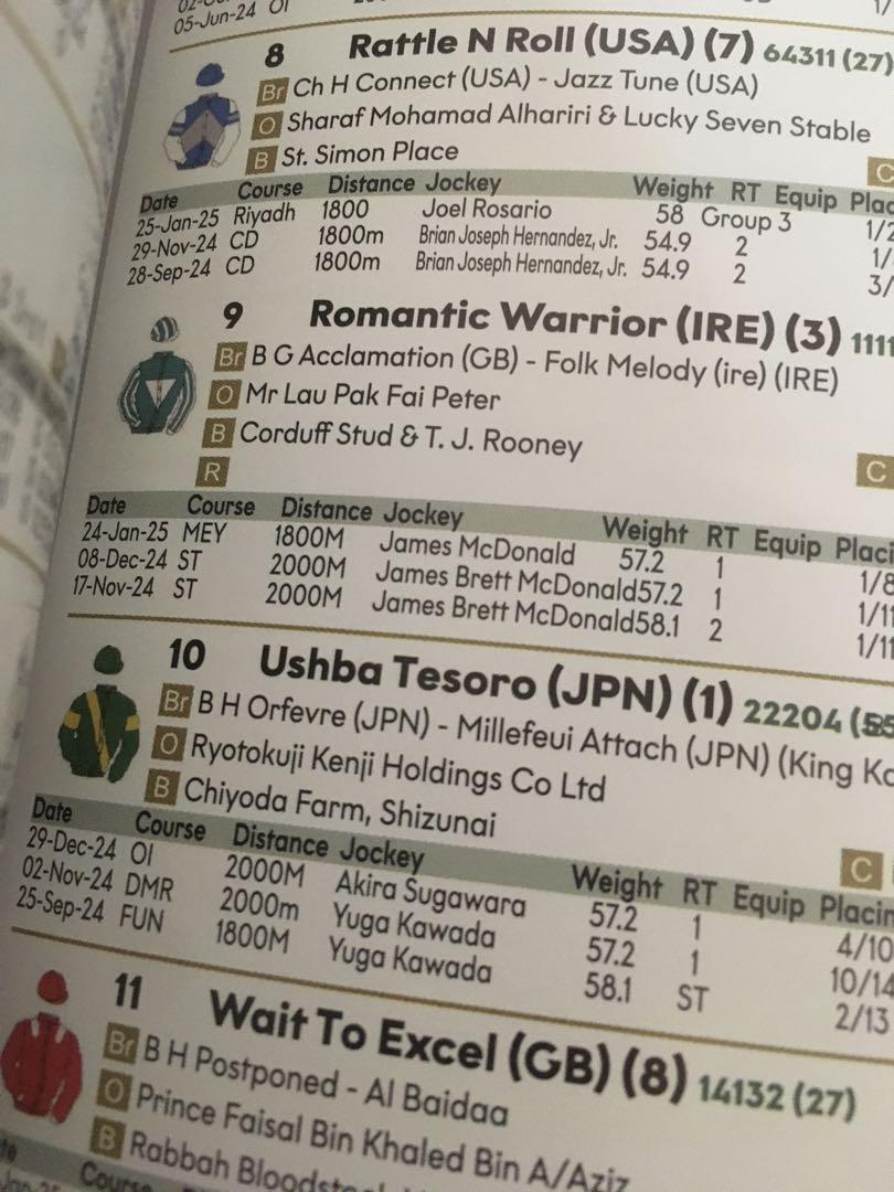 2025 Saudi Cup Racing Program