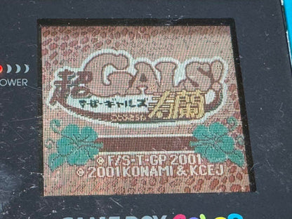 167 Super GALS! Ruriko Game Boy Color